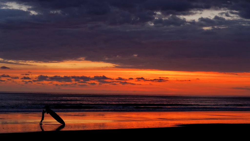 25 - Tortuguero NP (45).jpg